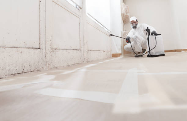 24/7 Emergency Mold Testing experts in Mathews, VA